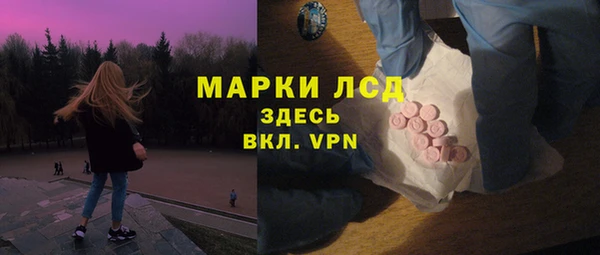 шишки Горнозаводск