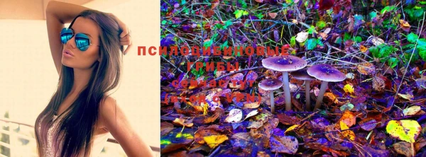 шишки Горнозаводск
